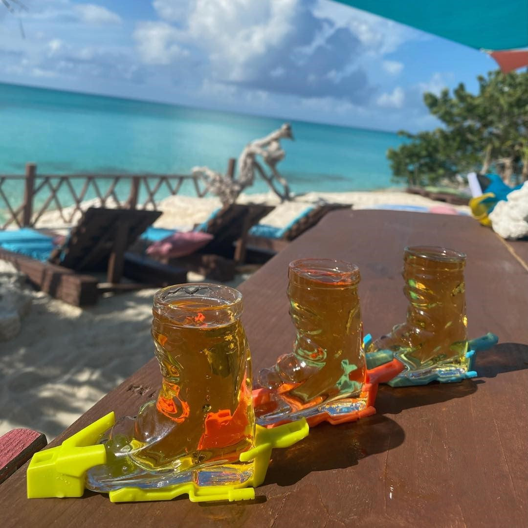 Freunde spielen entspannt Karten-Trinkspiele in der Sonne auf der Terrasse