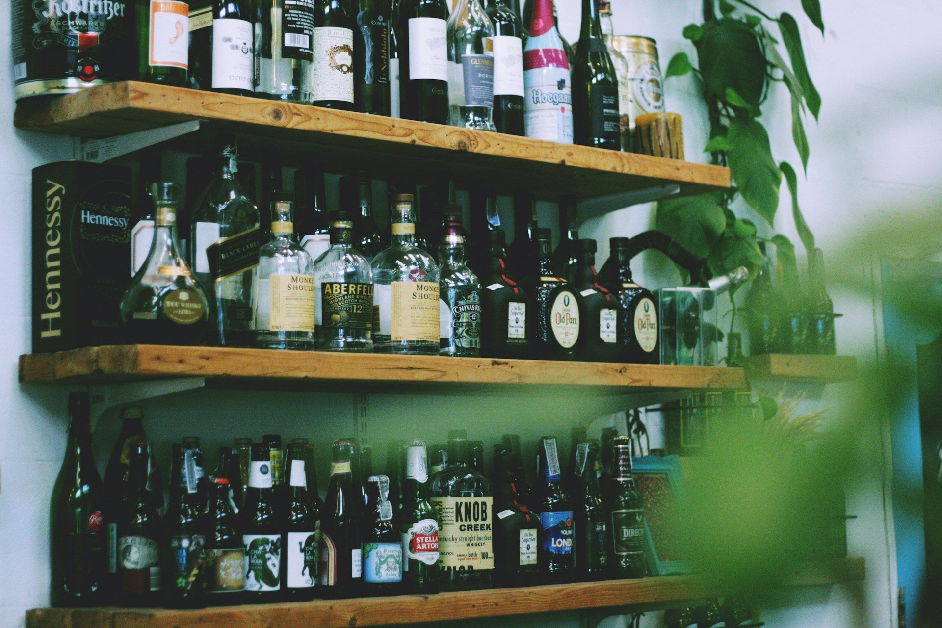 Alkoholische Freuden: Geschenkideen für Frauen mit Schnaps